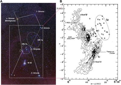 Frontiers | Anatomy of Orion Molecular Clouds—The Astrochemistry